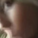Gorgeous blonde suck for cum