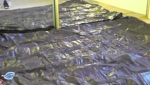 Oiled Ass Hardcore Fuck Continue on MyPornox com
